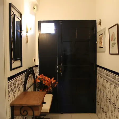 Vitor Ribeiro